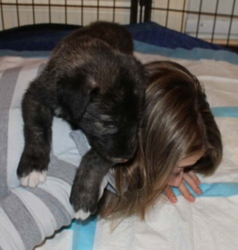Paw Hold