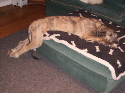Pooped