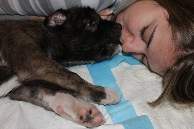 Puppy Breath