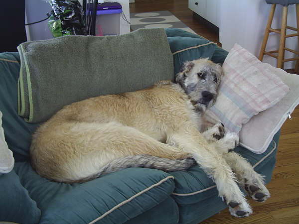 Relaxing After a Hard Day