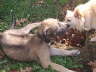 Sharing