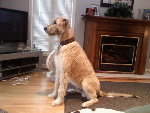 Sitting Pretty