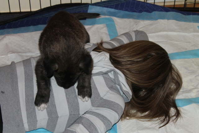 Sleeping with Auntie
