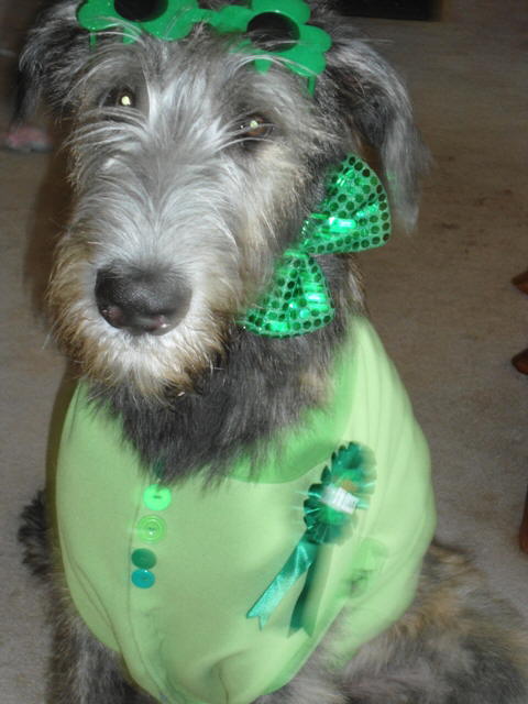 StPattie's Day 2012