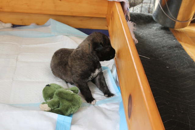 Stephan Day 18