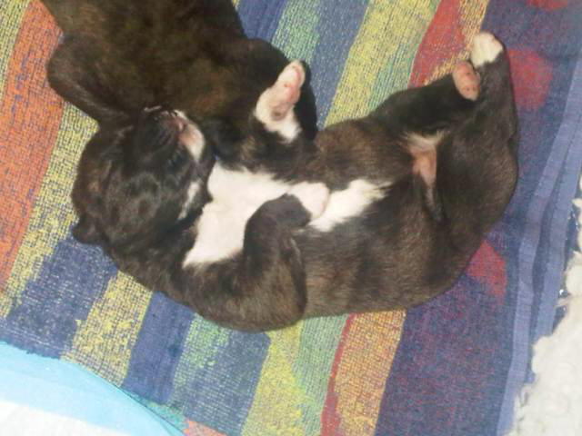 The Boys Day 10