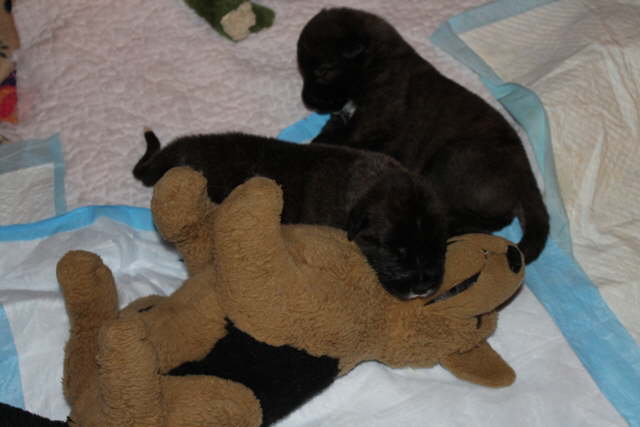 The Boys Day 18