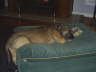 TriedThenFellAsleep