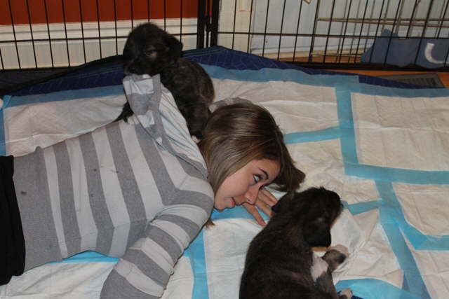 Tugging on Auntie