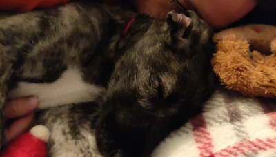 image000000_01