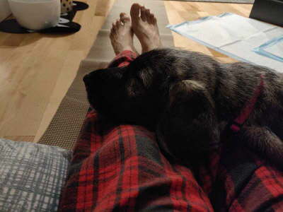 image000000_03